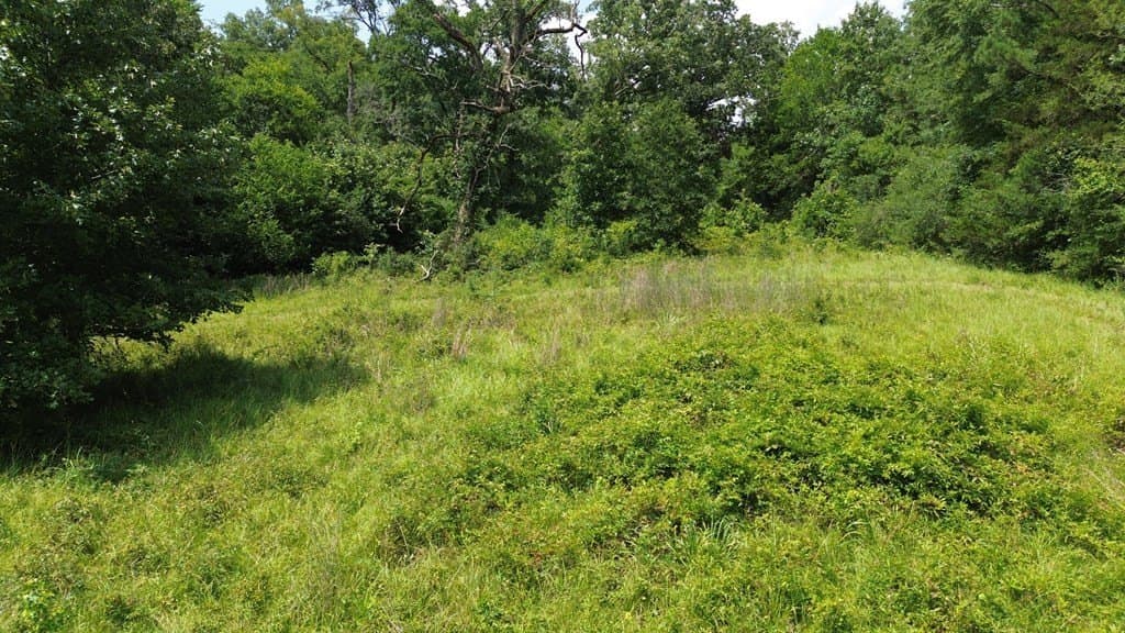 30.48 acres in Texas County - photo 15