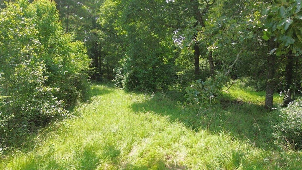 30.48 acres in Texas County - photo 12