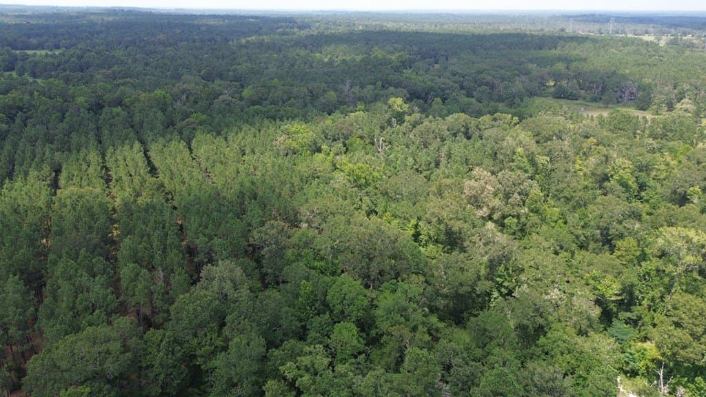 30.48 acres in Texas County - photo 14