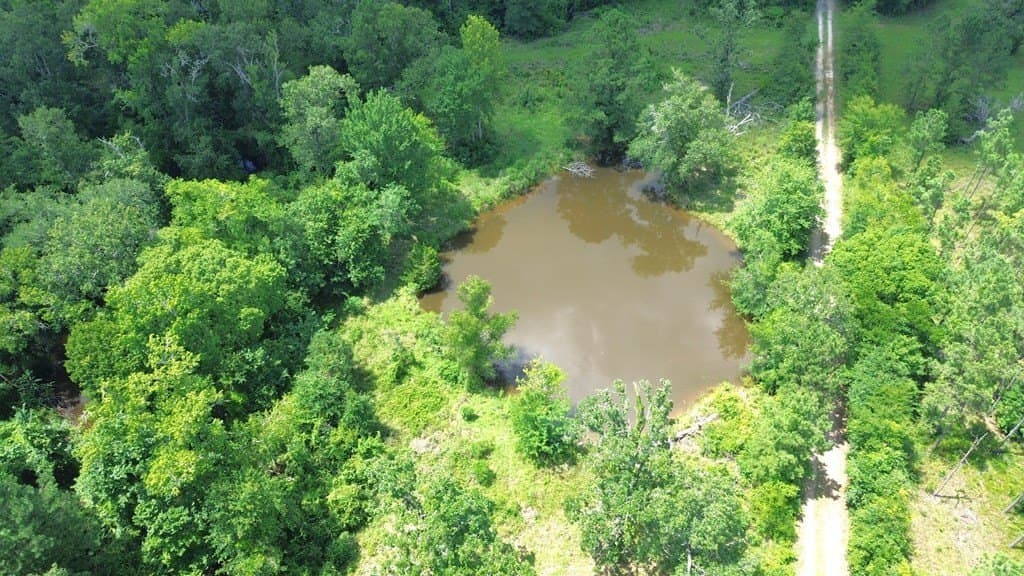 30.48 acres in Texas County gallery image 4