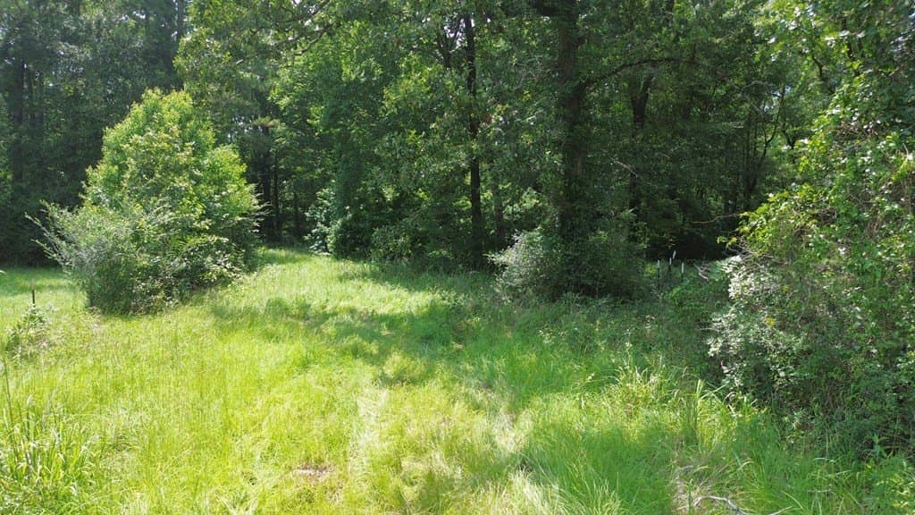 30.48 acres in Texas County - photo 10