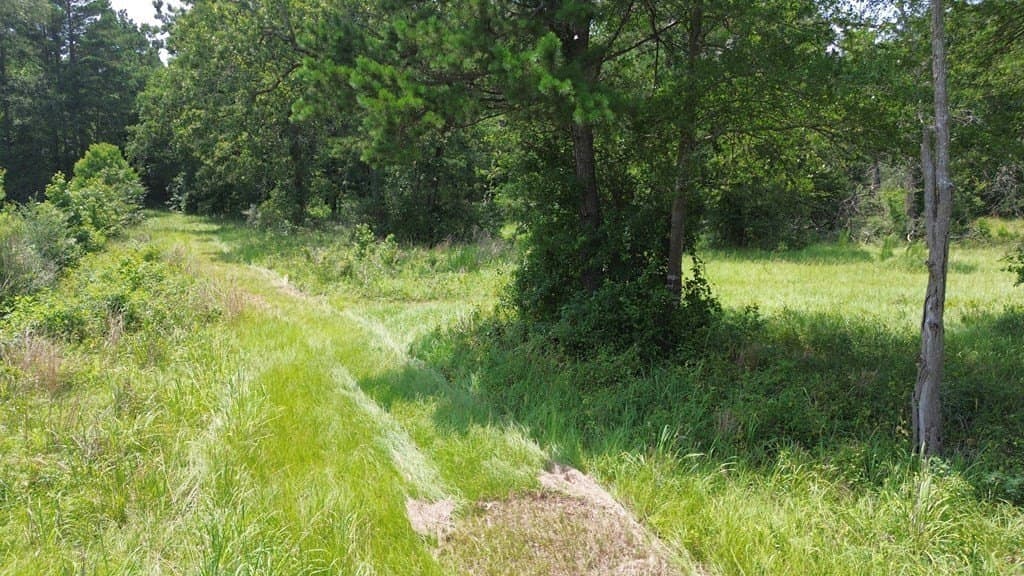 30.48 acres in Texas County - photo 9