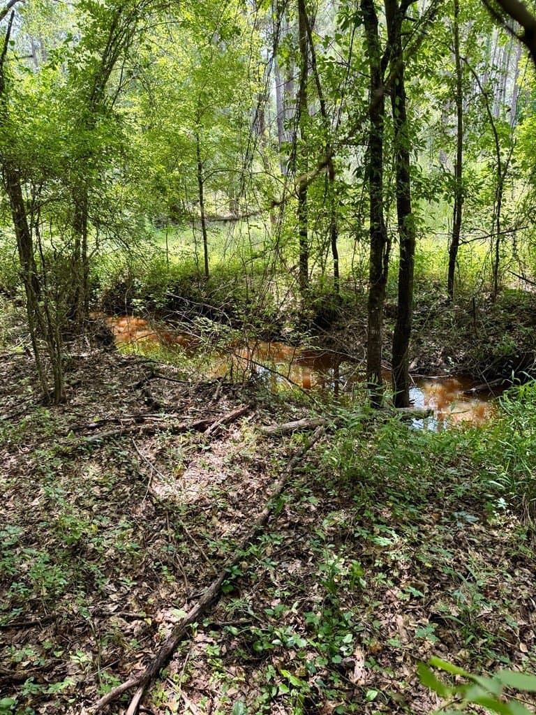30.48 acres in Texas County - photo 18