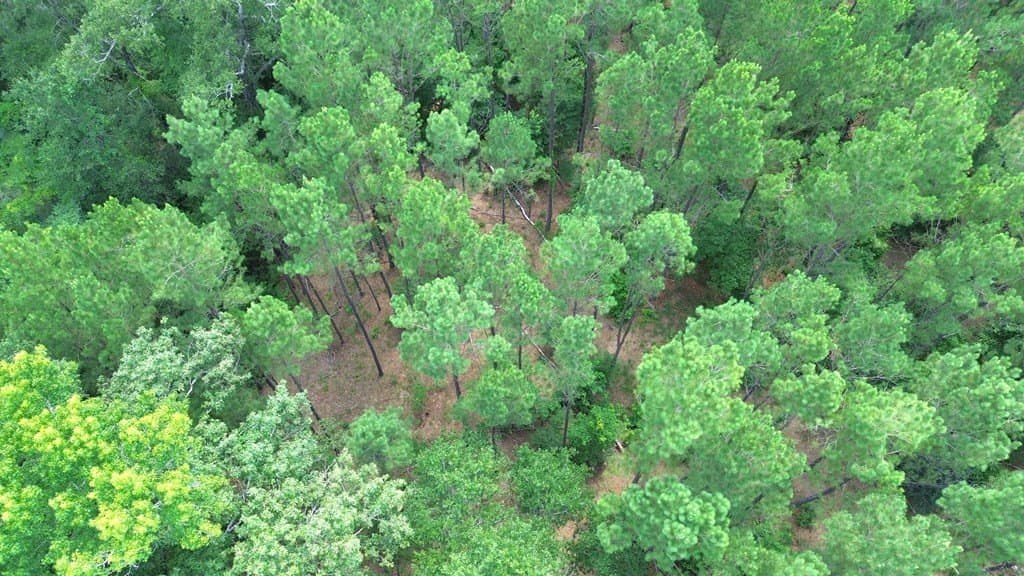 30.48 acres in Texas County gallery image 2