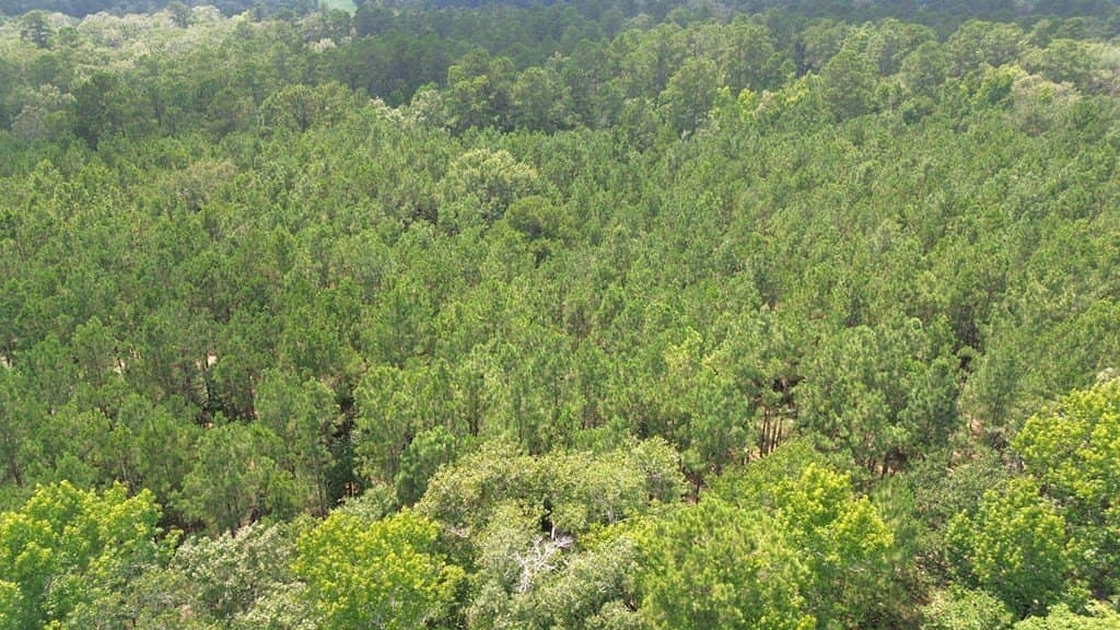 30.48 acres in Texas County - photo 13