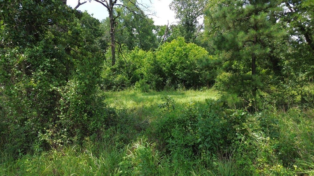 30.48 acres in Texas County - photo 11