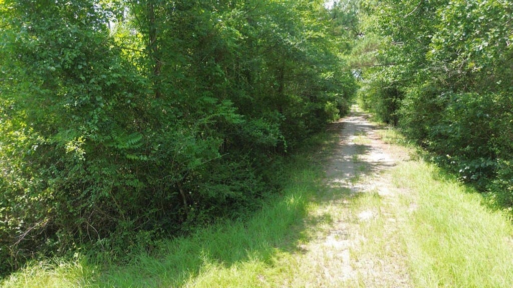 30.48 acres in Texas County - photo 8
