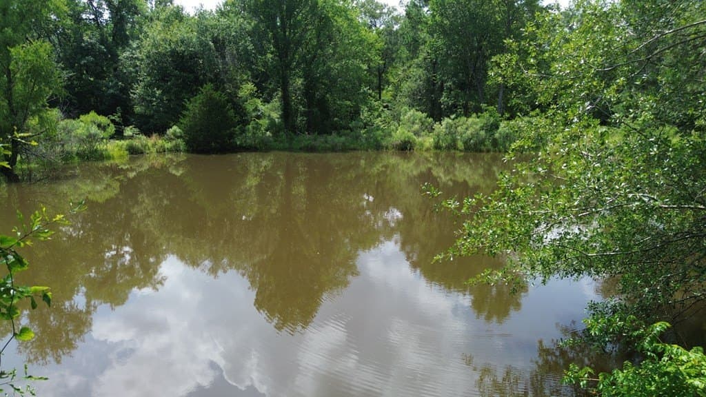 30.48 acres in Texas County featured view