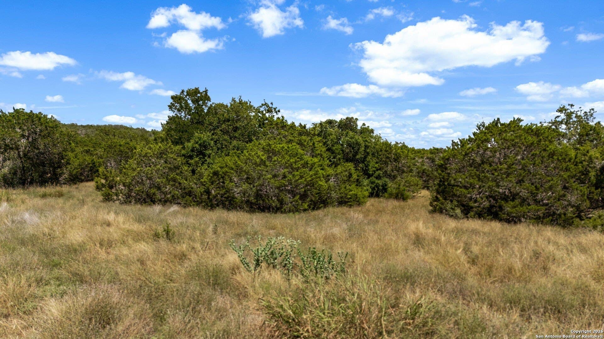 1.74 acres in Comal County - photo 16