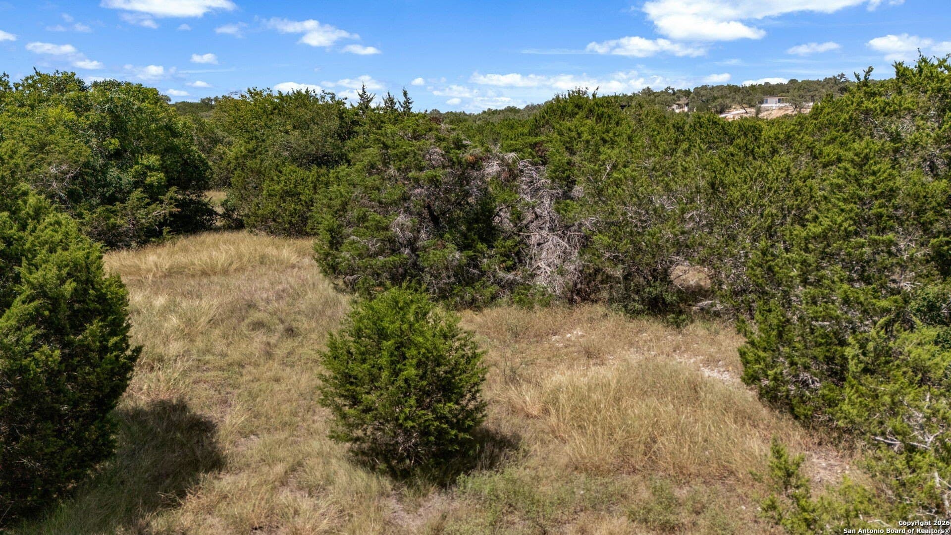 1.74 acres in Comal County - photo 18
