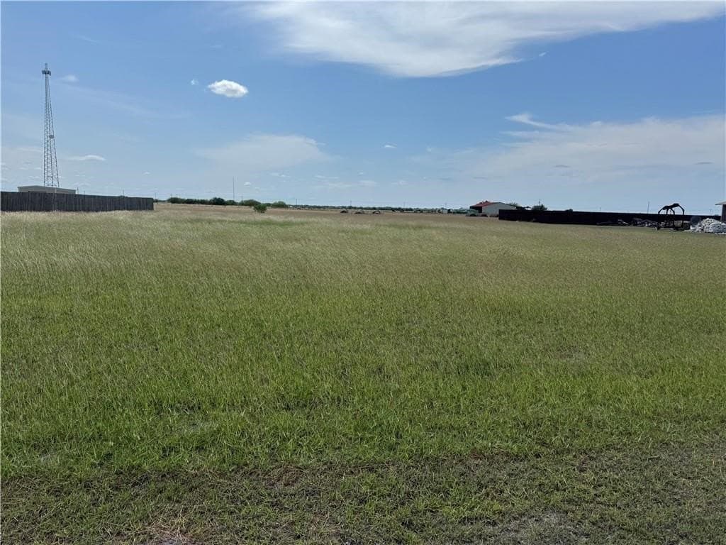 0.89 acres in Jim Wells County gallery image 4
