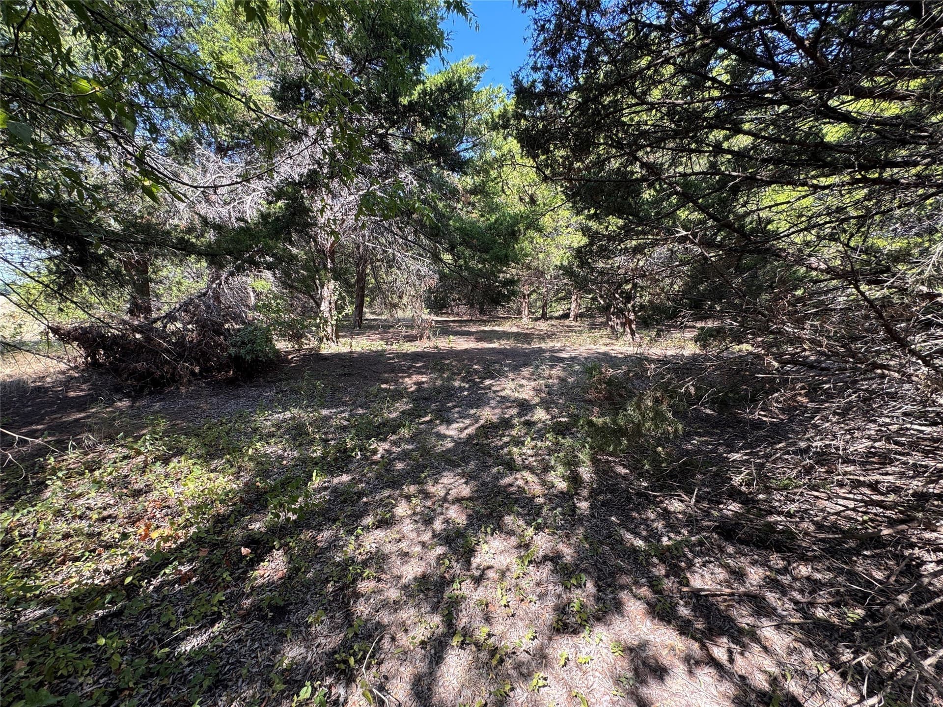1.12 acres in Grayson County - photo 5