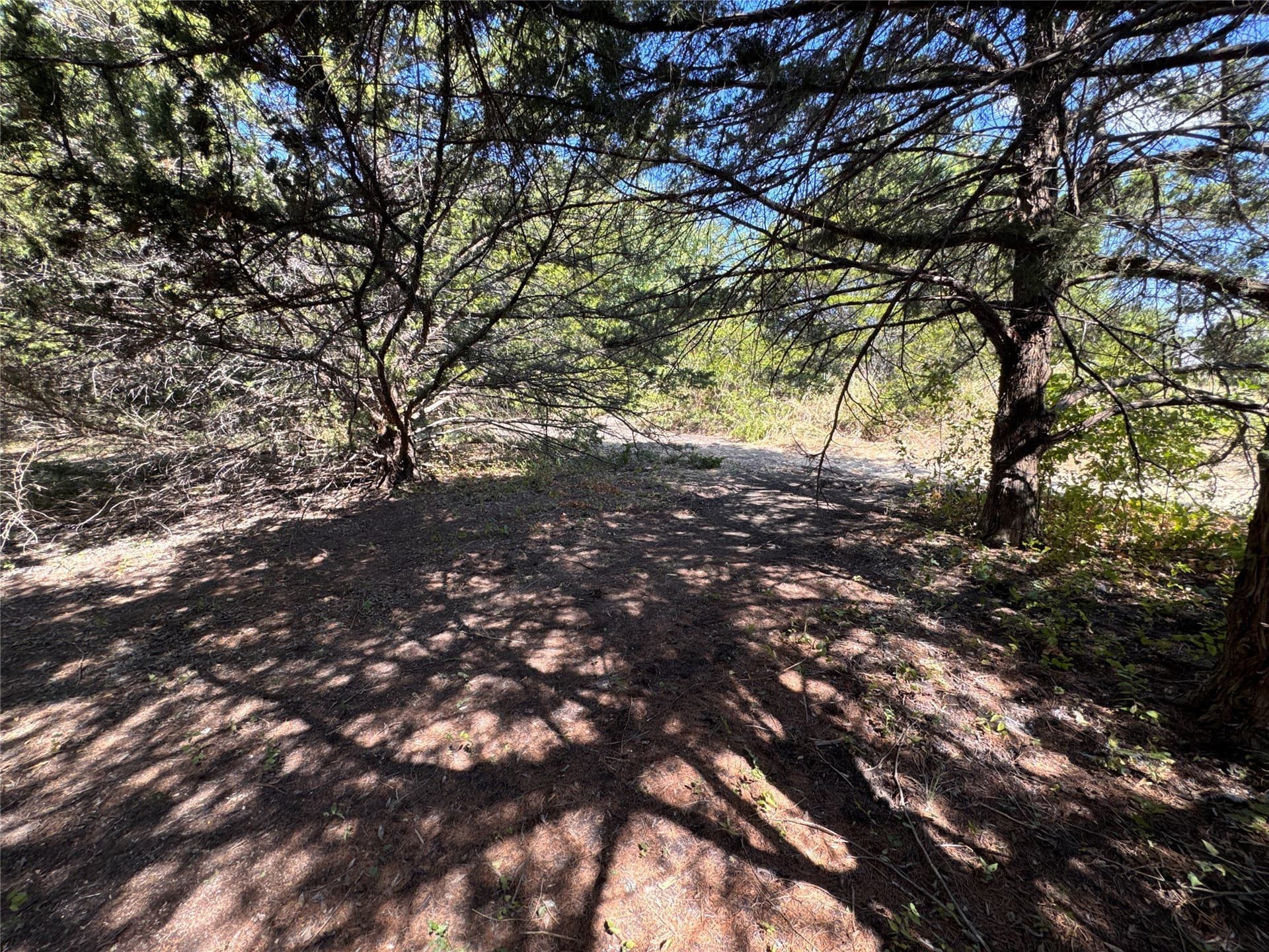 1.12 acres in Grayson County - photo 9