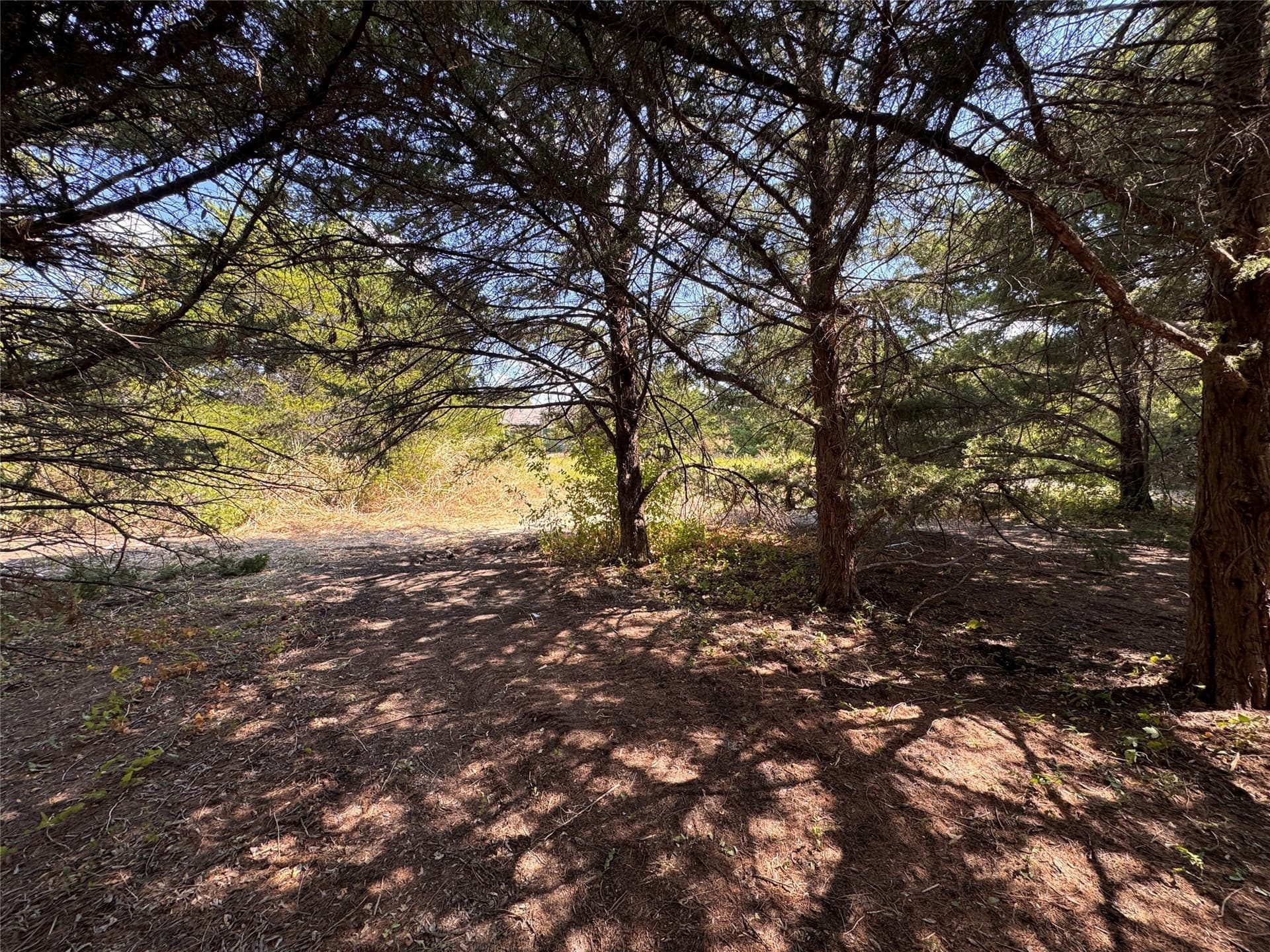 1.12 acres in Grayson County - photo 4