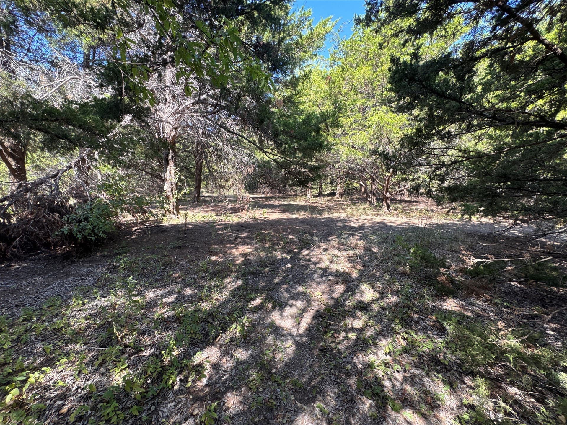 1.12 acres in Grayson County - photo 7