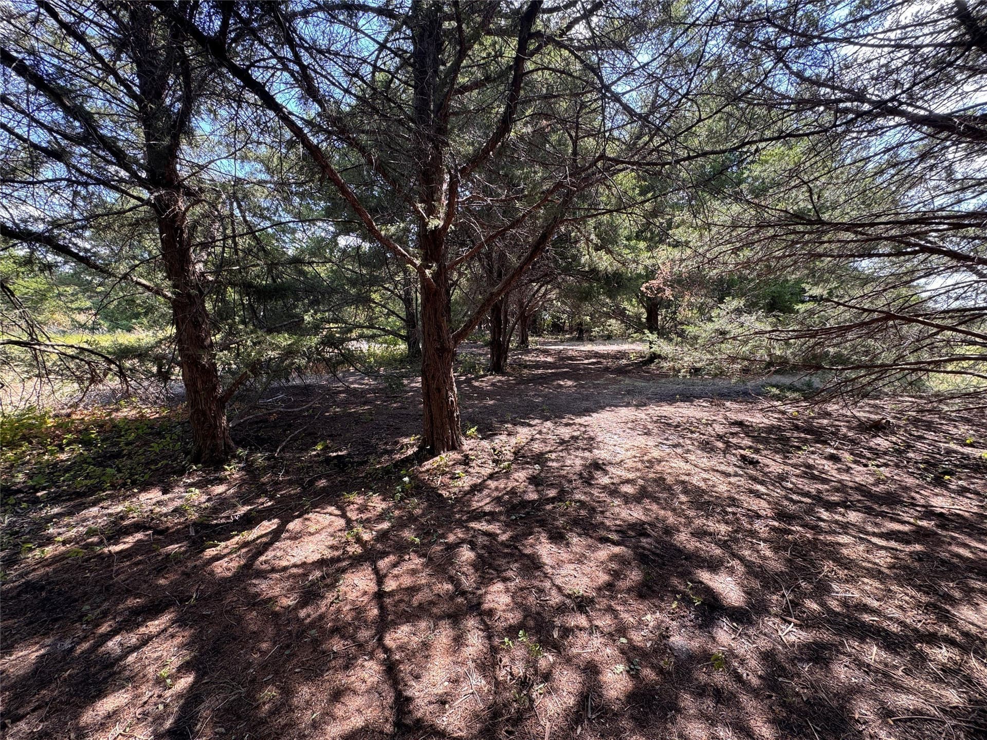 1.12 acres in Grayson County - photo 6