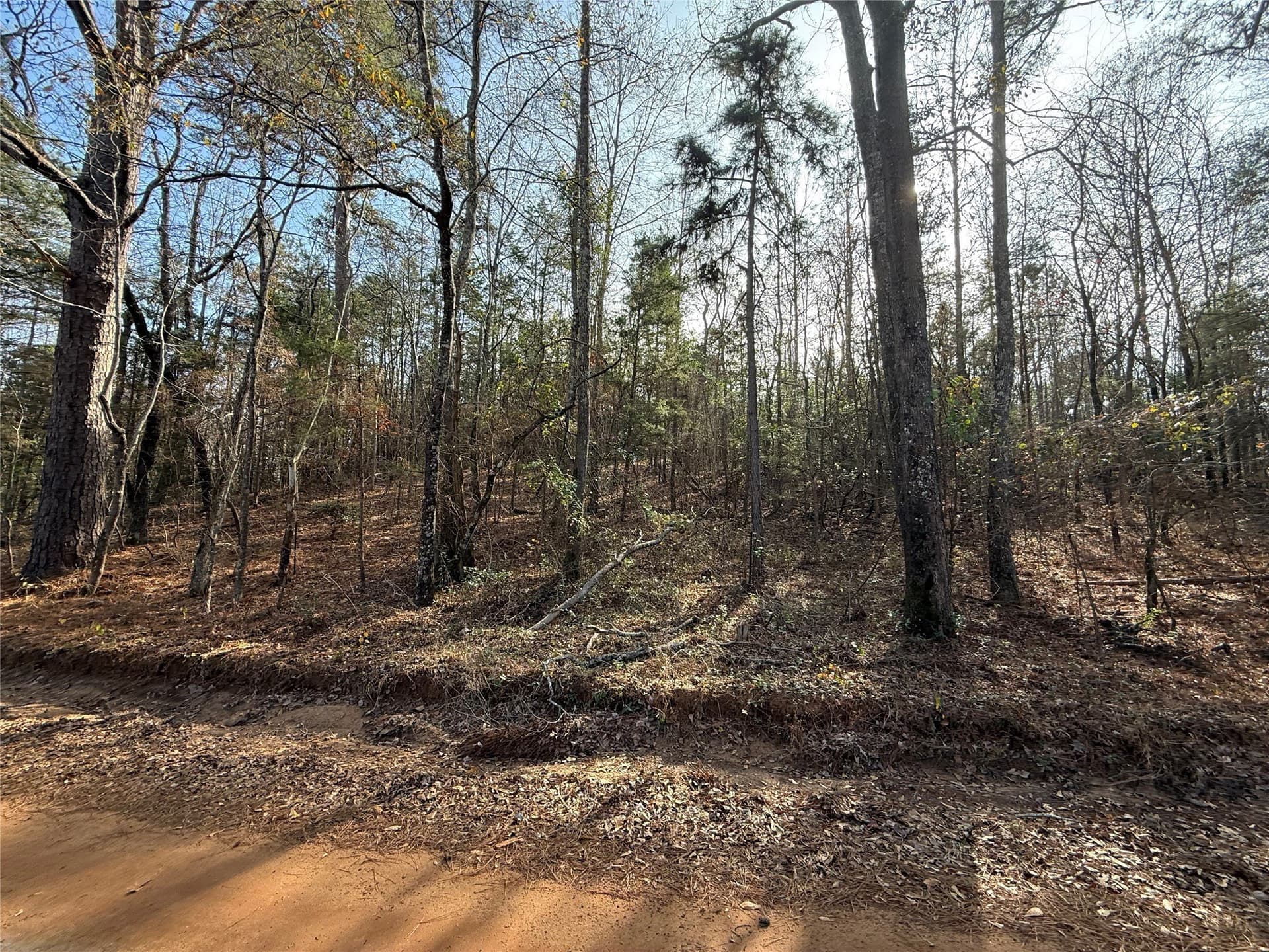 11 acres in Cass County gallery image 4