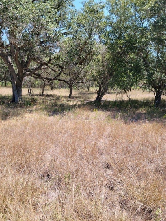 1.81 acres in Victoria County gallery image 2