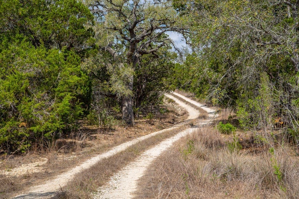 59.19 acres in Comal County - photo 30