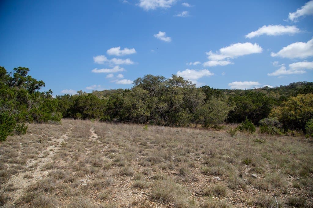59.19 acres in Comal County - photo 42