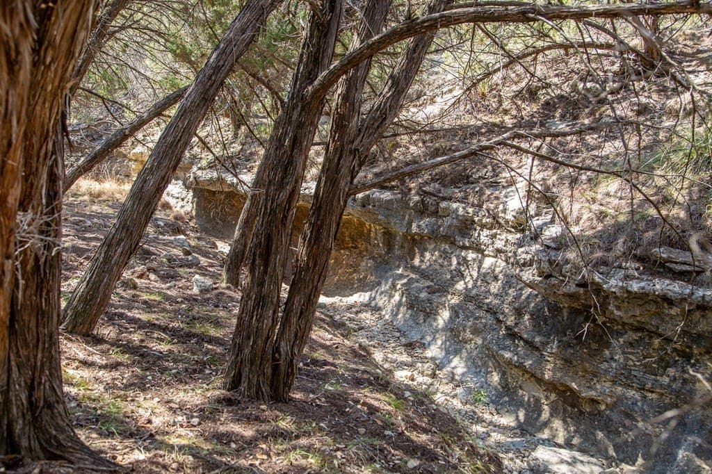 59.19 acres in Comal County - photo 36