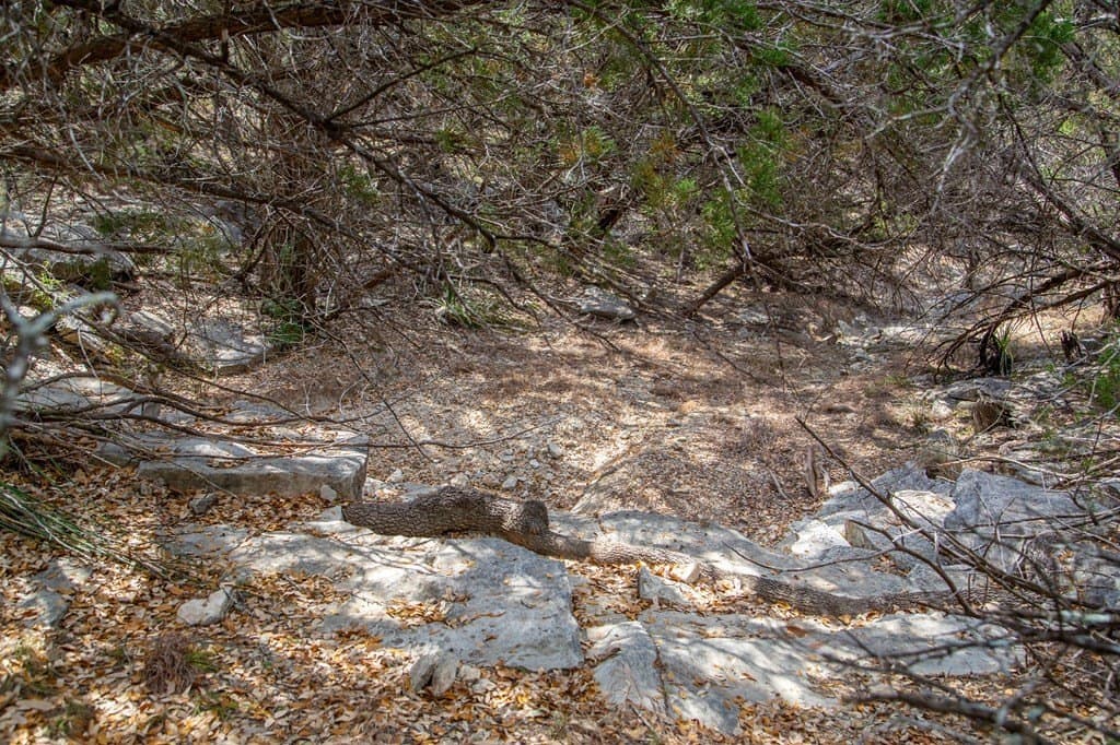 59.19 acres in Comal County - photo 32