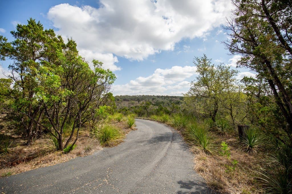 59.19 acres in Comal County gallery image 4