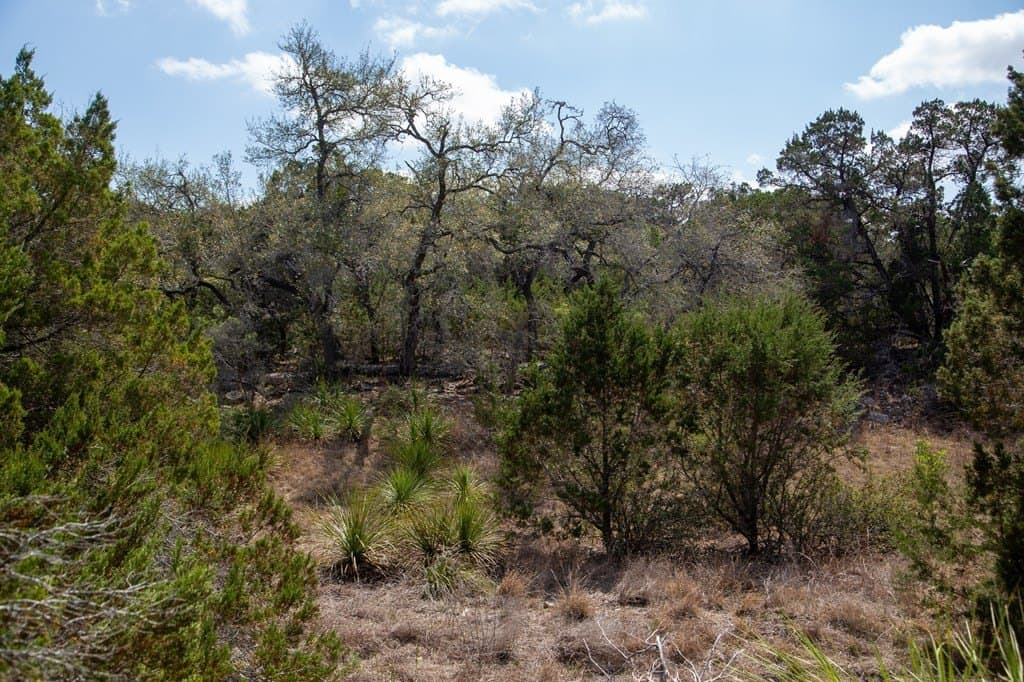 59.19 acres in Comal County - photo 37