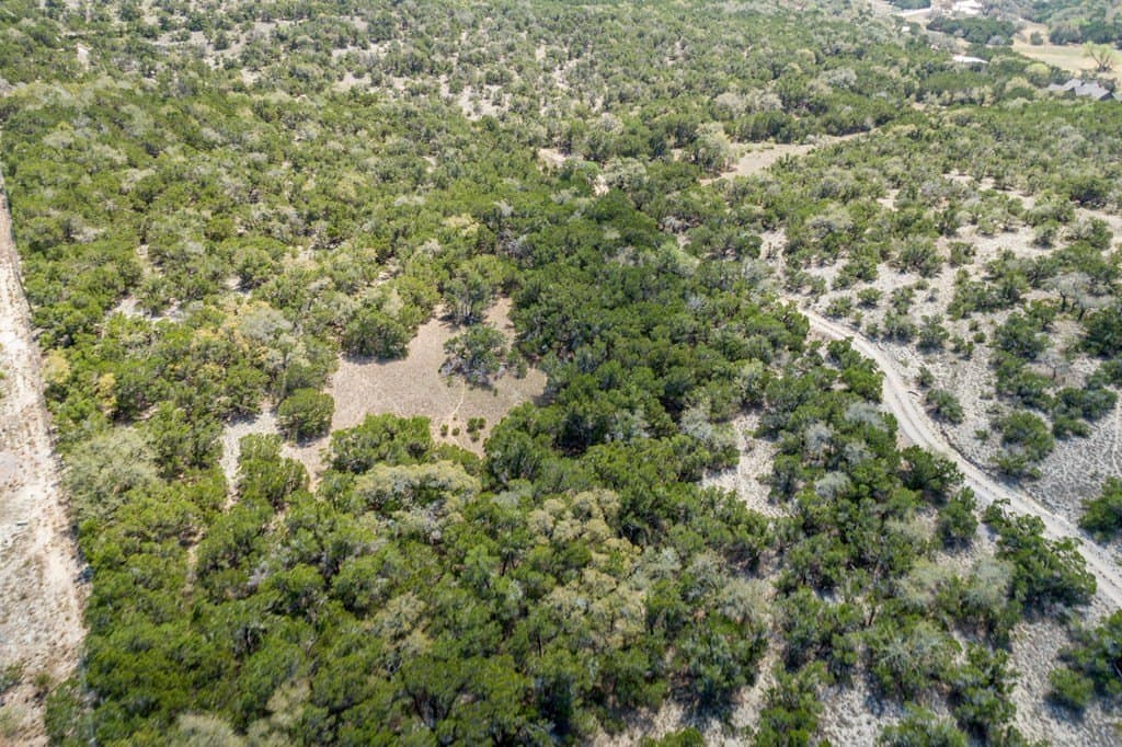 59.19 acres in Comal County - photo 29