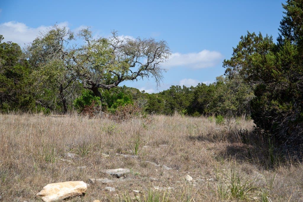 59.19 acres in Comal County - photo 35