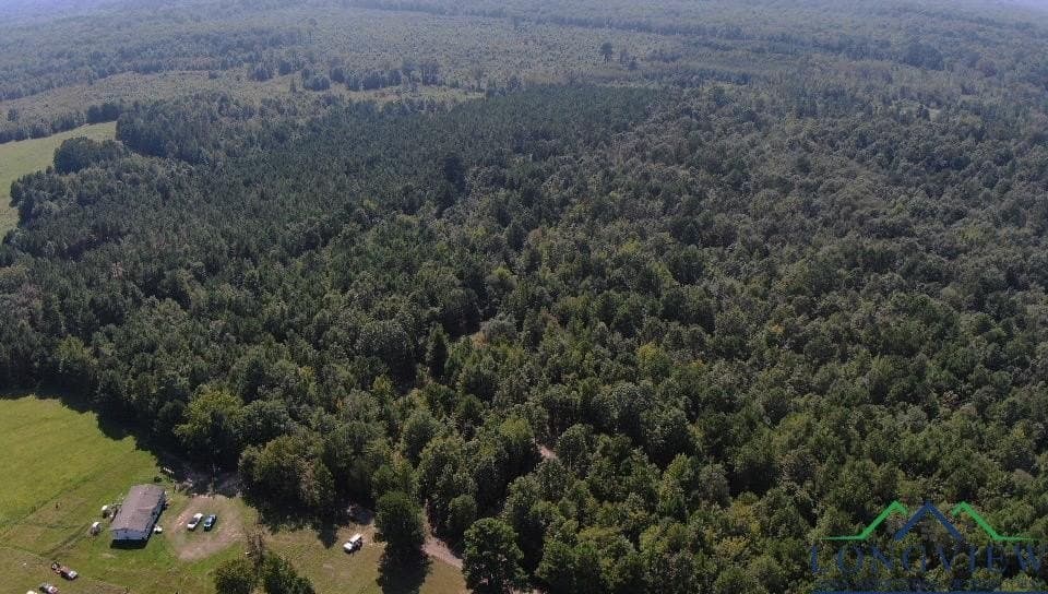 17.3 acres in Texas County featured view