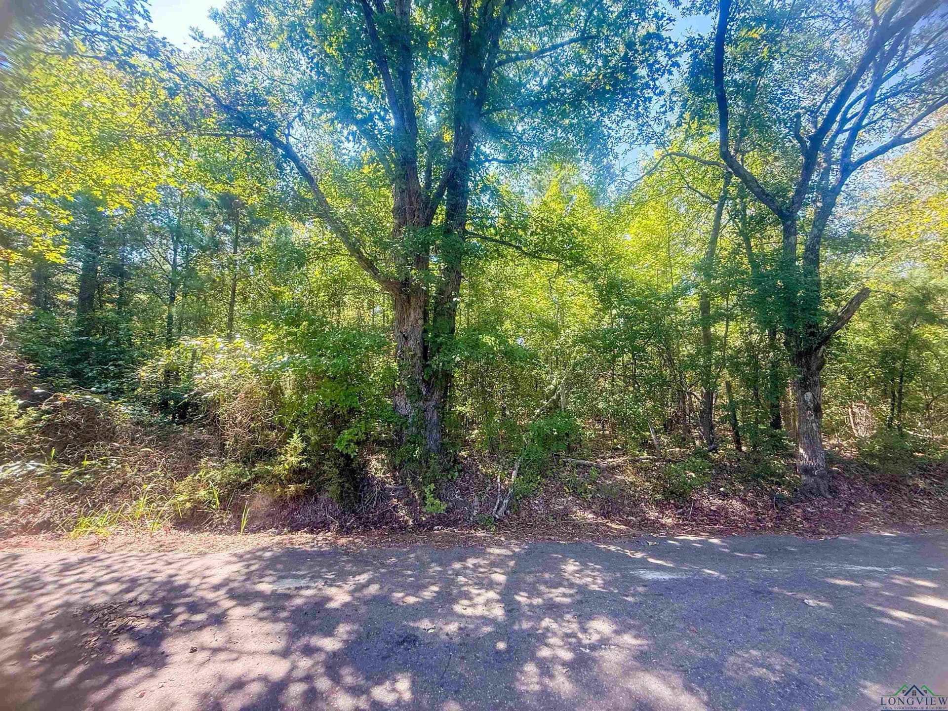 17.3 acres in Texas County