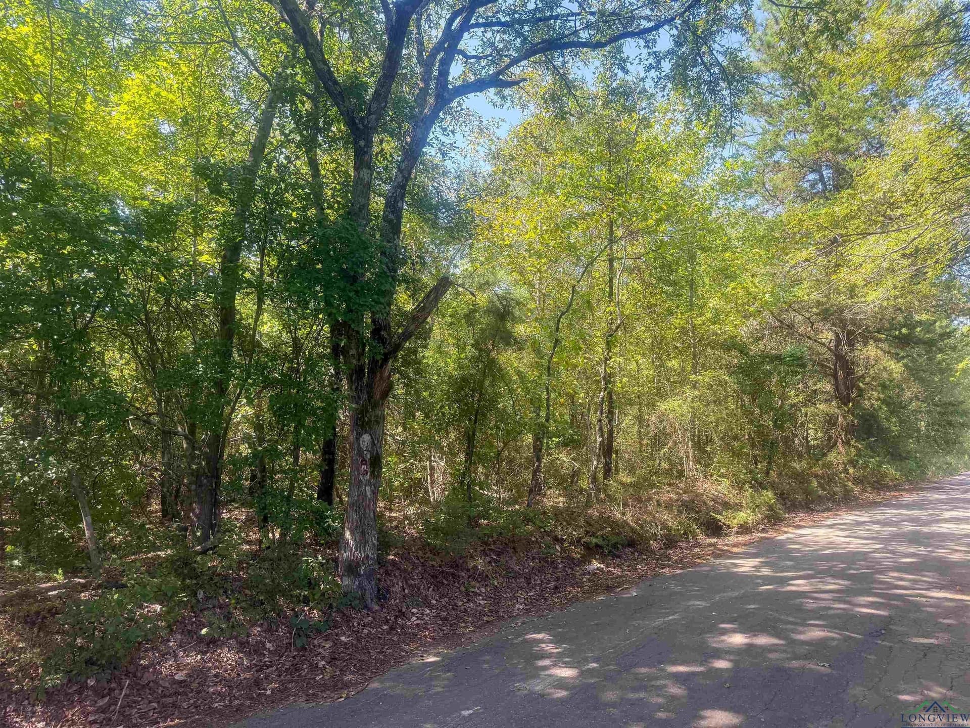 17.3 acres in Texas County gallery image 2