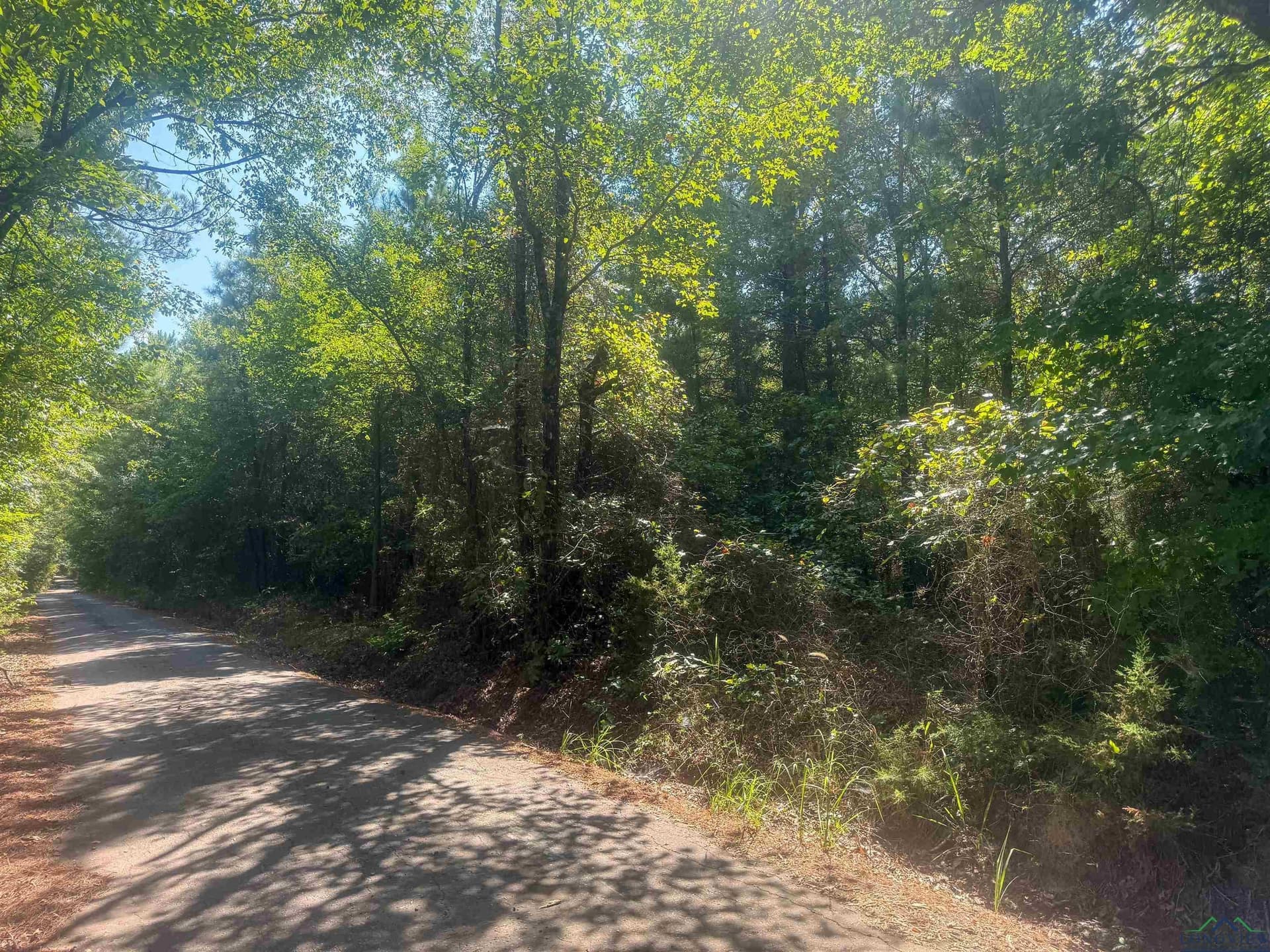 17.3 acres in Texas County gallery image 3