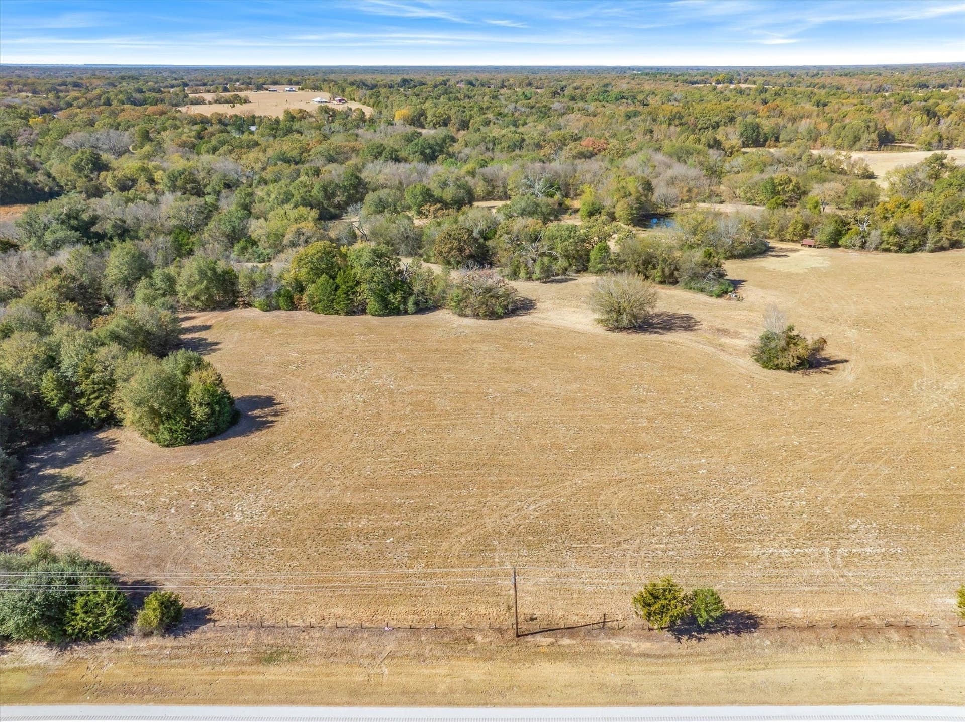 2.26 acres in Rains County gallery image 2