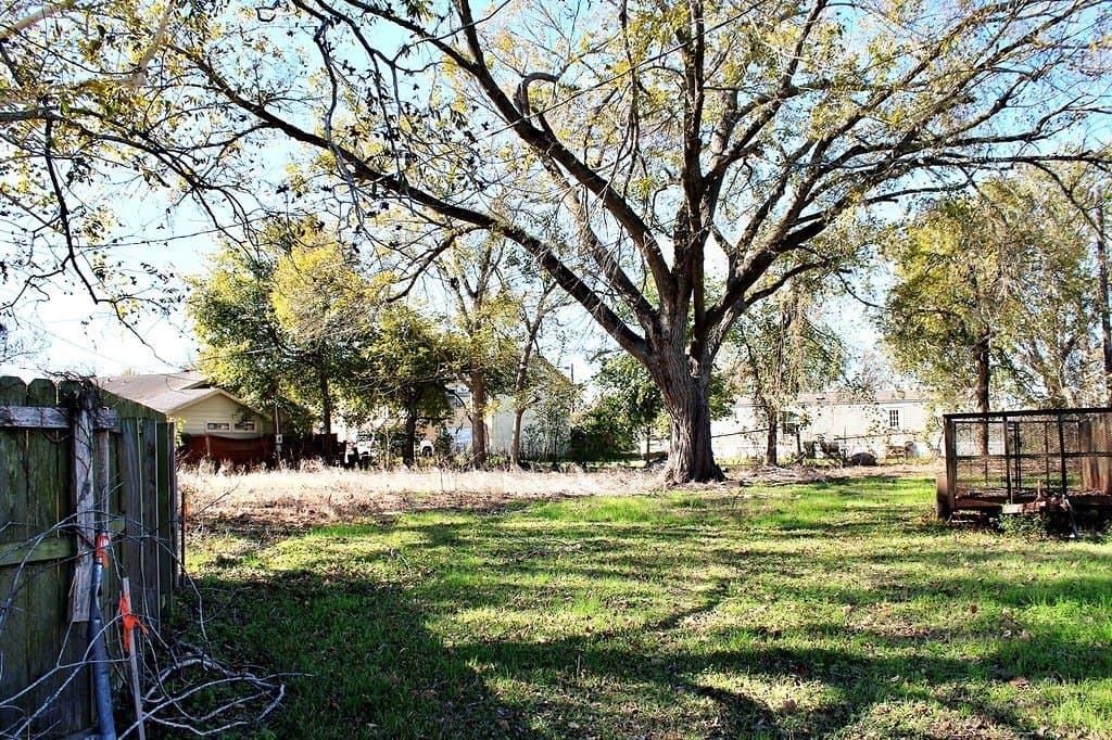 0.27 acres in Colorado County - photo 6