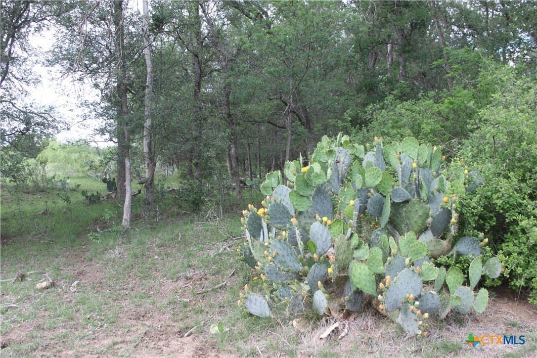 12.5 acres in Caldwell County featured view