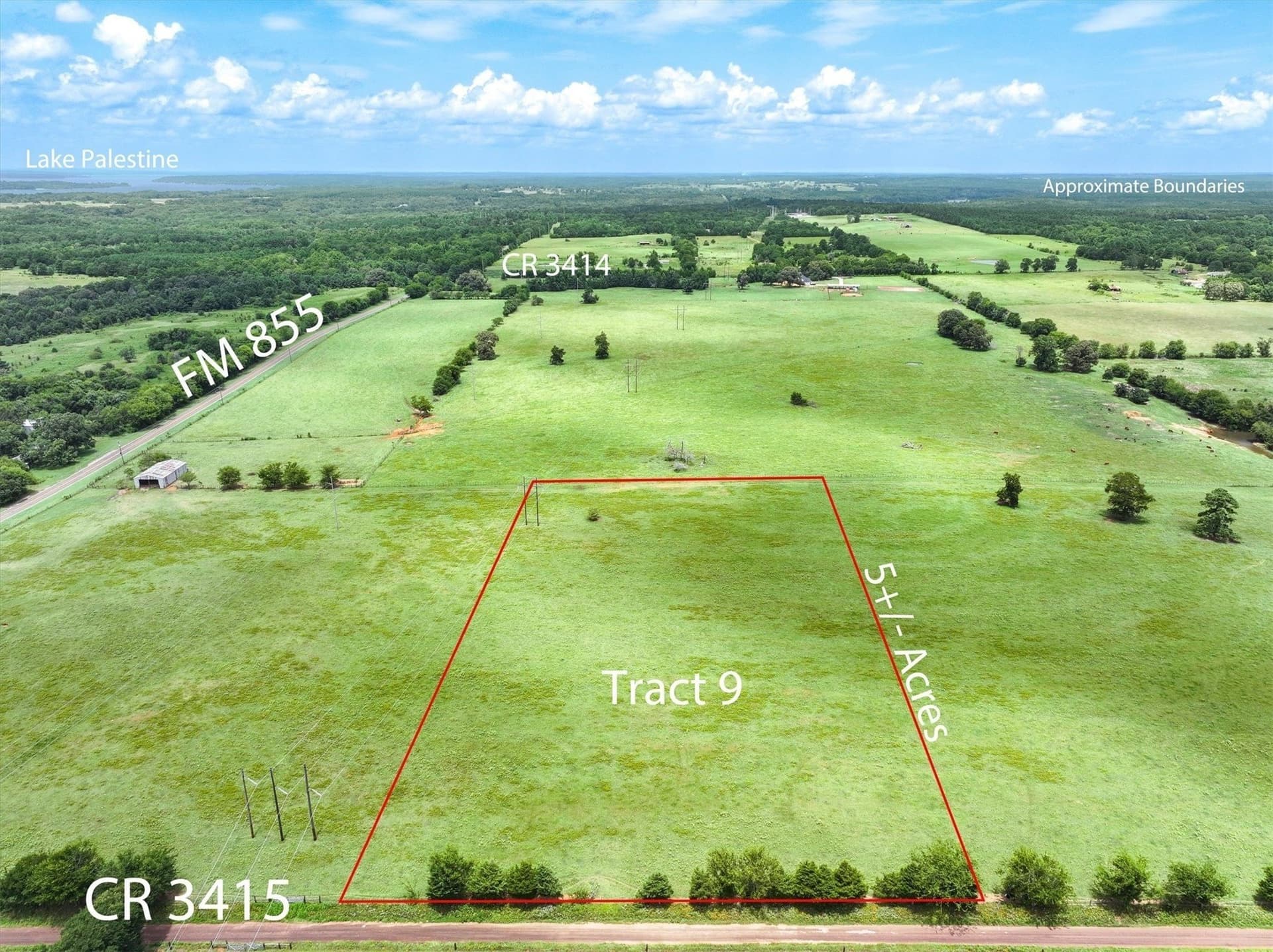 5 acres in Cherokee County gallery image 2