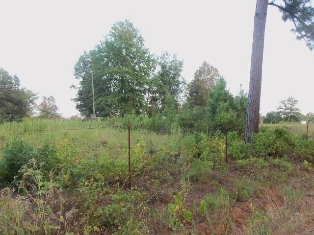 3 acres in Rusk County - photo 3