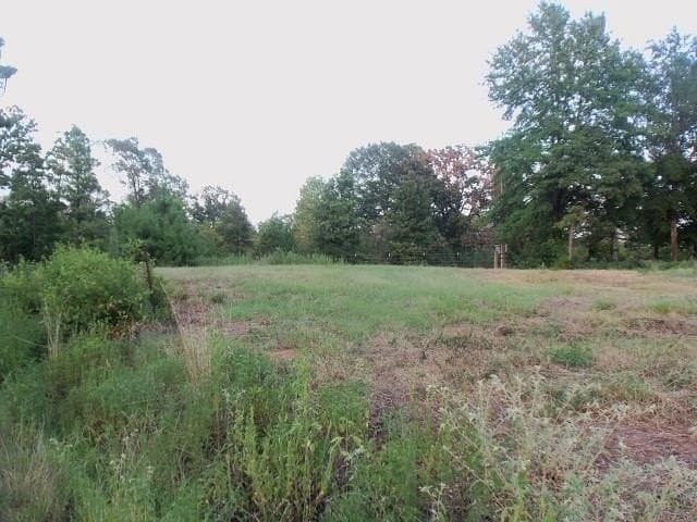 3 acres in Rusk County - photo 2