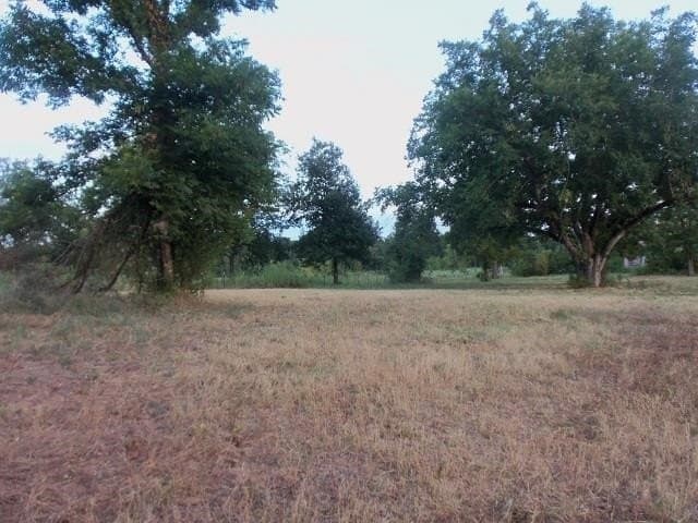3 acres in Rusk County - photo 4