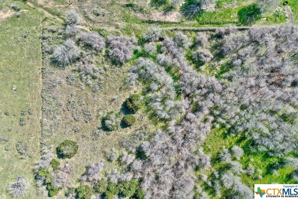 2.47 acres in Bastrop County - photo 22