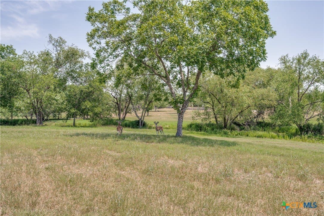 13.4 acres in Bexar County - photo 25