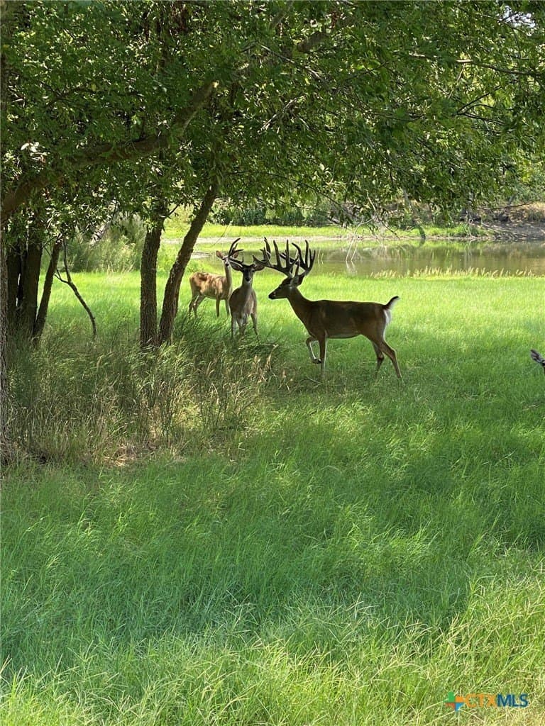 13.4 acres in Bexar County - photo 28
