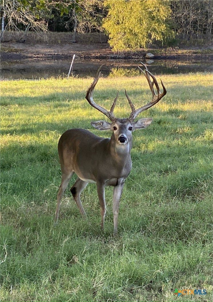 13.4 acres in Bexar County - photo 27