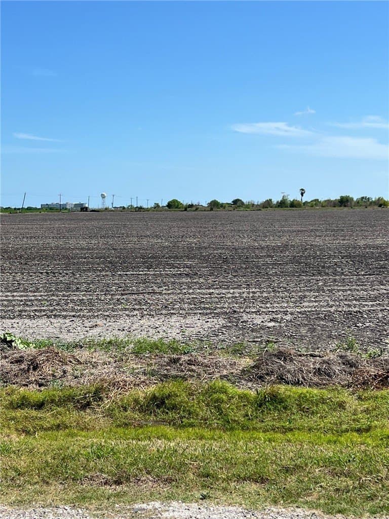 30 acres in Nueces County - photo 17