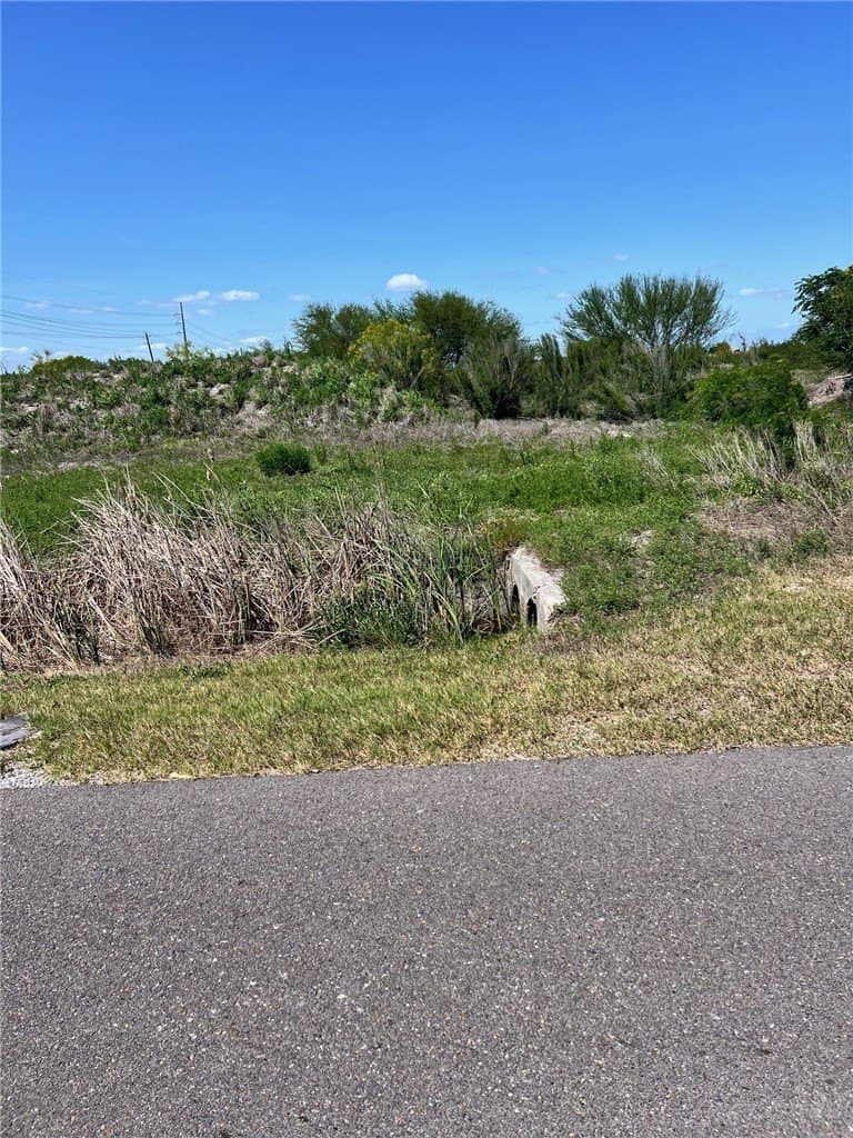 30 acres in Nueces County - photo 16