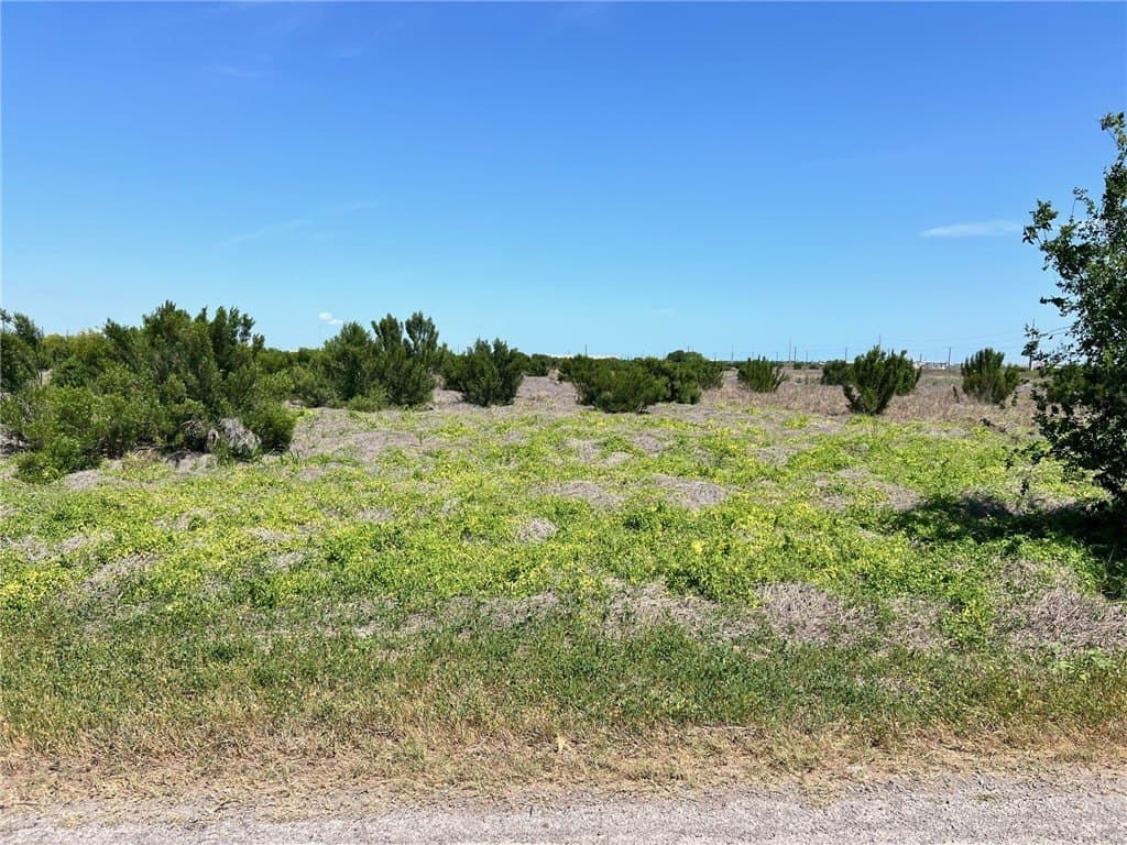 30 acres in Nueces County - photo 14
