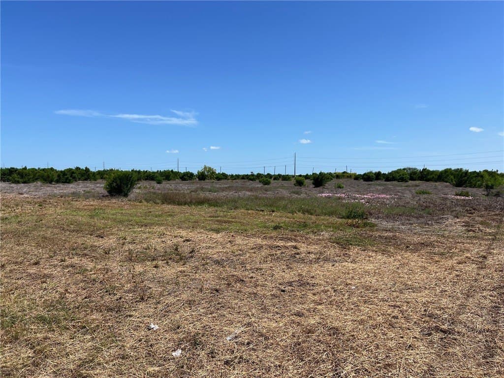 30 acres in Nueces County - photo 12