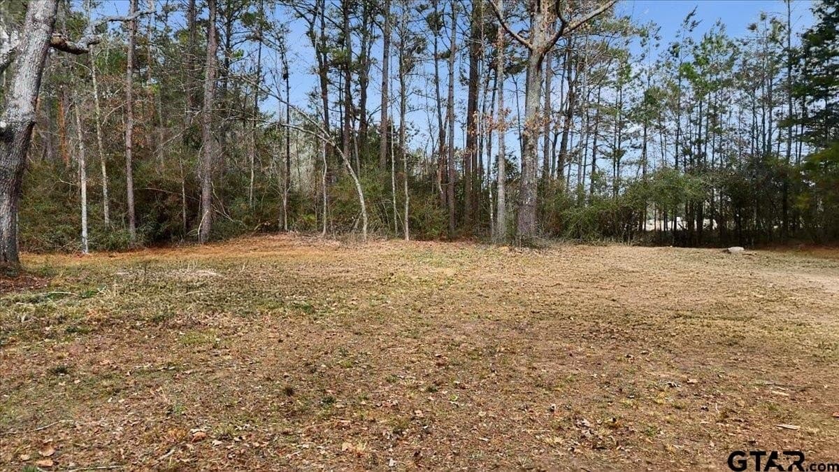 8.9 acres in Rusk County gallery image 2